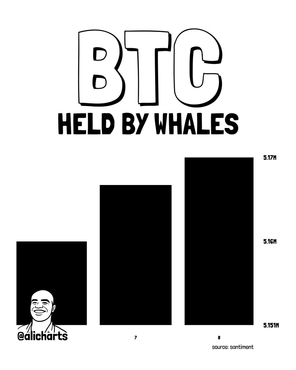 Bitcoin whale