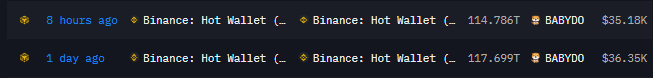 Binance Moves Over 231T BabyDoge Tokens