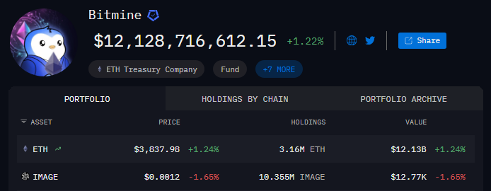 Bitmine Ethereum holding