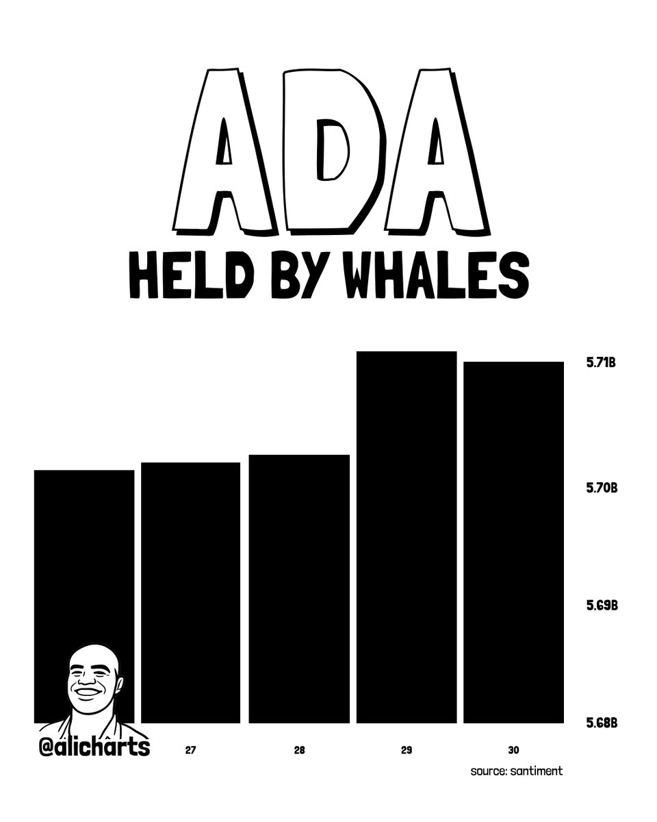 Cardano Whales Accumulate 10M ADA in 72 Hours