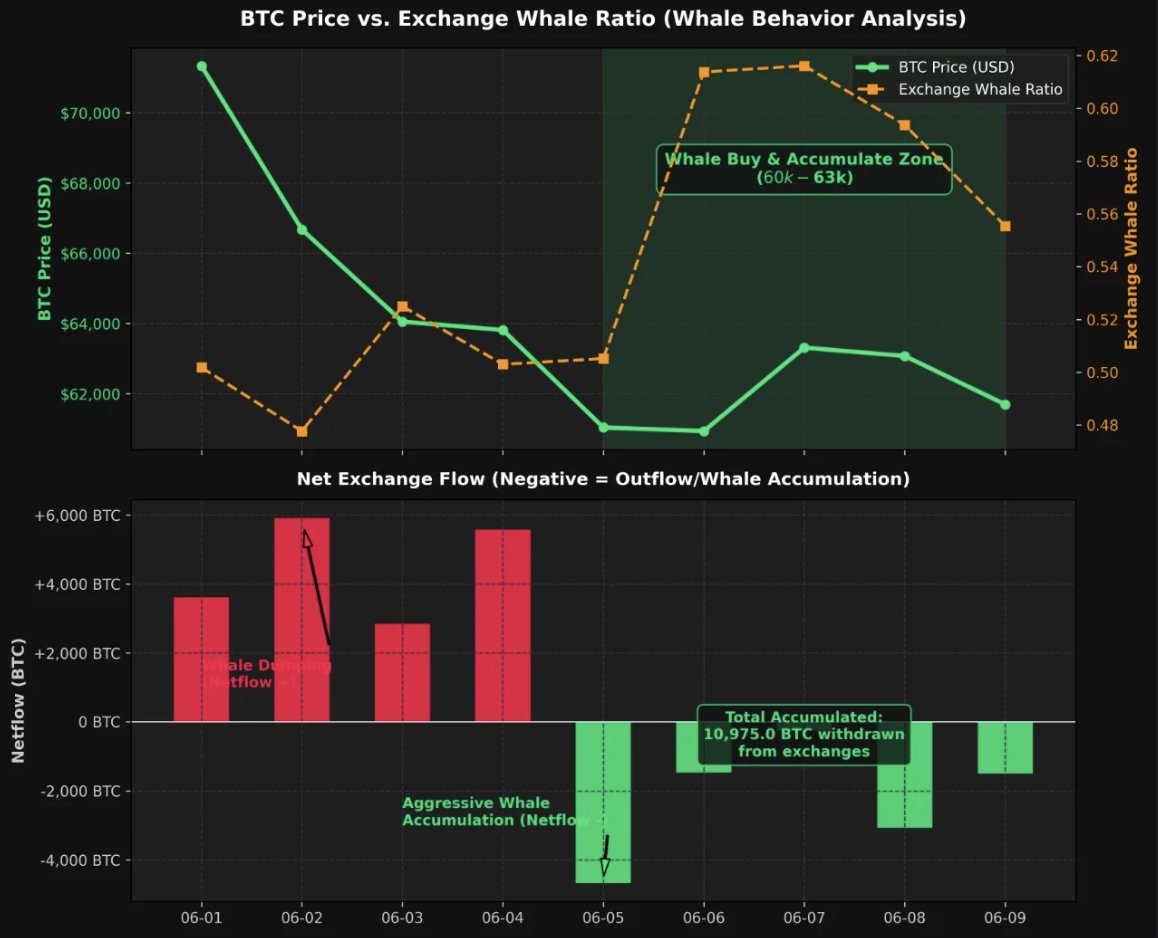 Bitcoin whales withdrew 11,422 BTC from exchanges during the dip