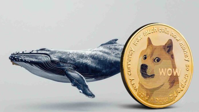 Dogecoin Whales